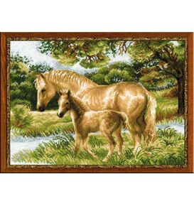 Наборы для вышивания Лошадь с жеребёнком – фото 1