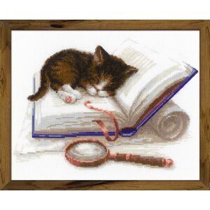 Наборы для вышивания Котенок на книжке – фото 1 Наборы для вышивания Котенок на книжке – фото 1