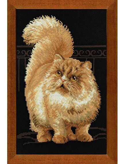 Наборы для вышивания Персидский кот – фото 1