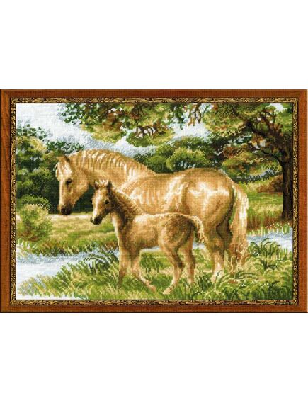 Наборы для вышивания Лошадь с жеребёнком – фото 1