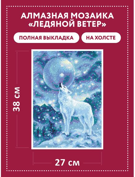  АМ0042 Набор алмазной мозаики "Ледяной ветер" – фото 2