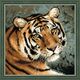 Наборы для вышивания Амурский тигр – фото 1