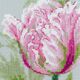 Наборы для вышивания Весенние тюльпаны – фото 4