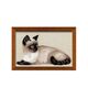 Наборы для вышивания Тайская кошка – фото 1