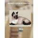 Наборы для вышивания Тайская кошка – фото 2